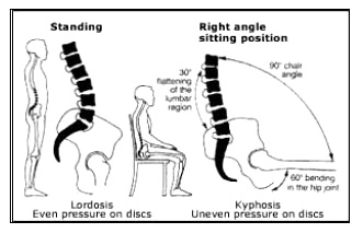 SSspinal-seating-position.jpg